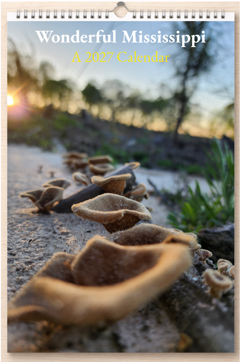 Wonderful Mississippi: A 2027 Calendar