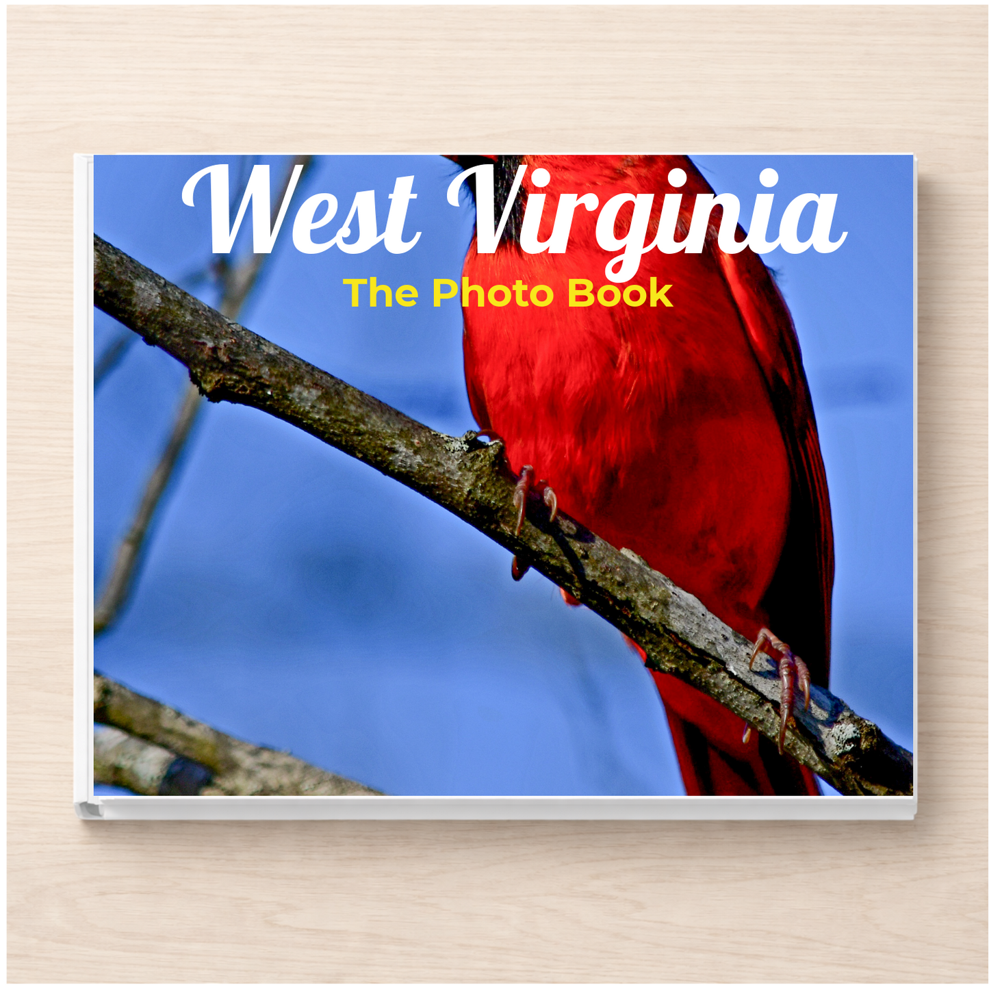 West Virginia: The Photo Book
