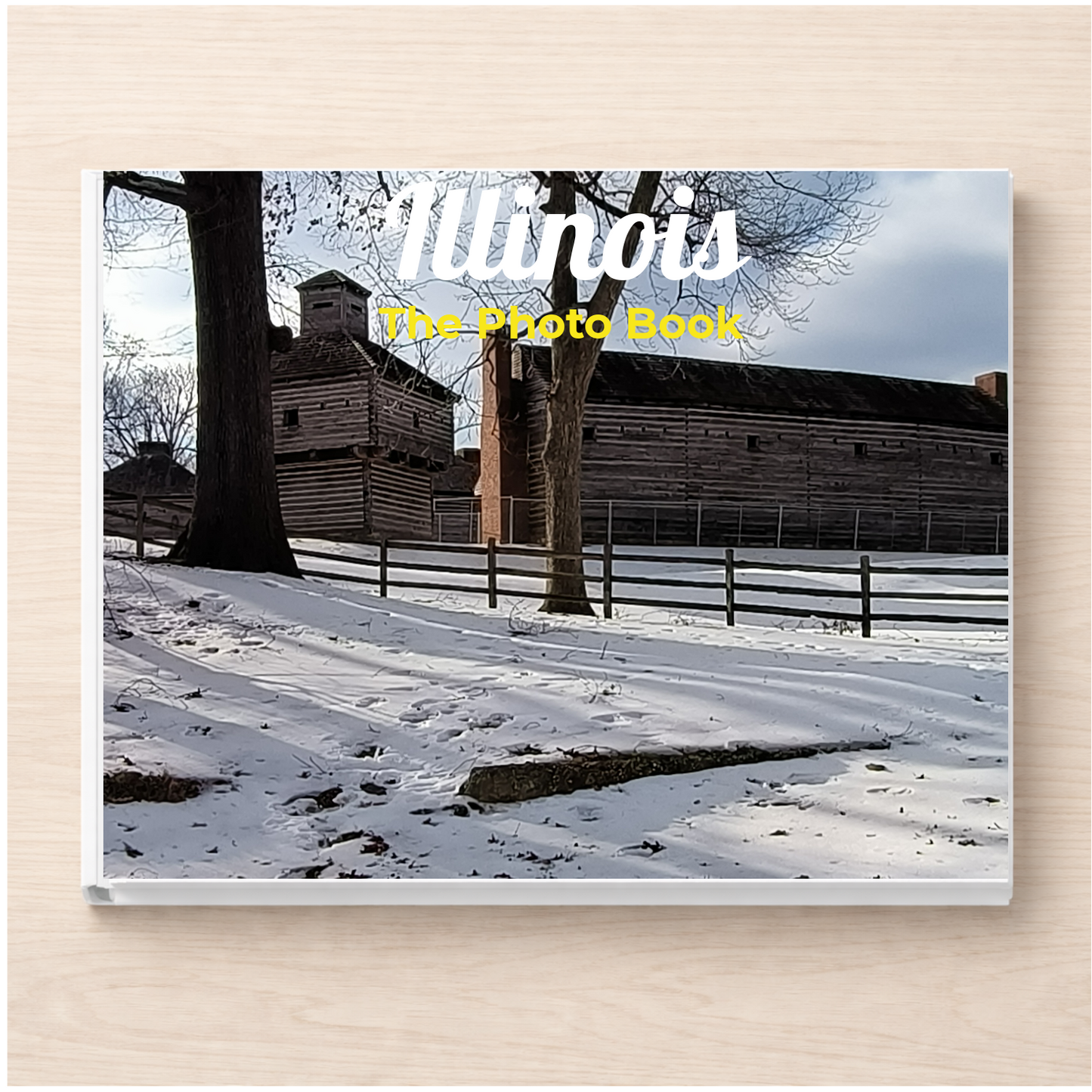 Illinois: The Photo Book
