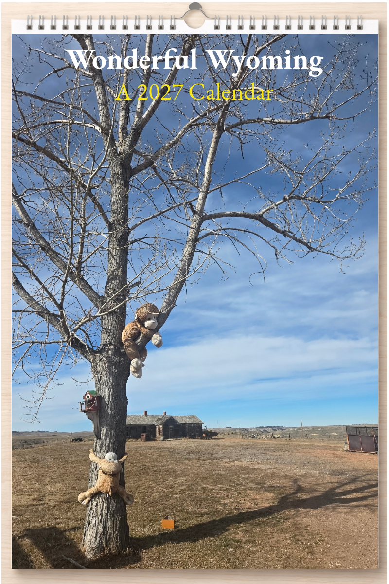 Wonderful Wyoming: A 2027 Calendar