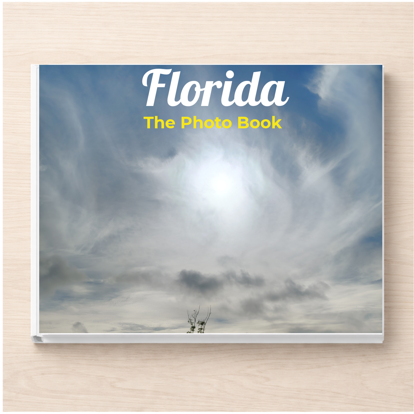 Florida: The Photo Book