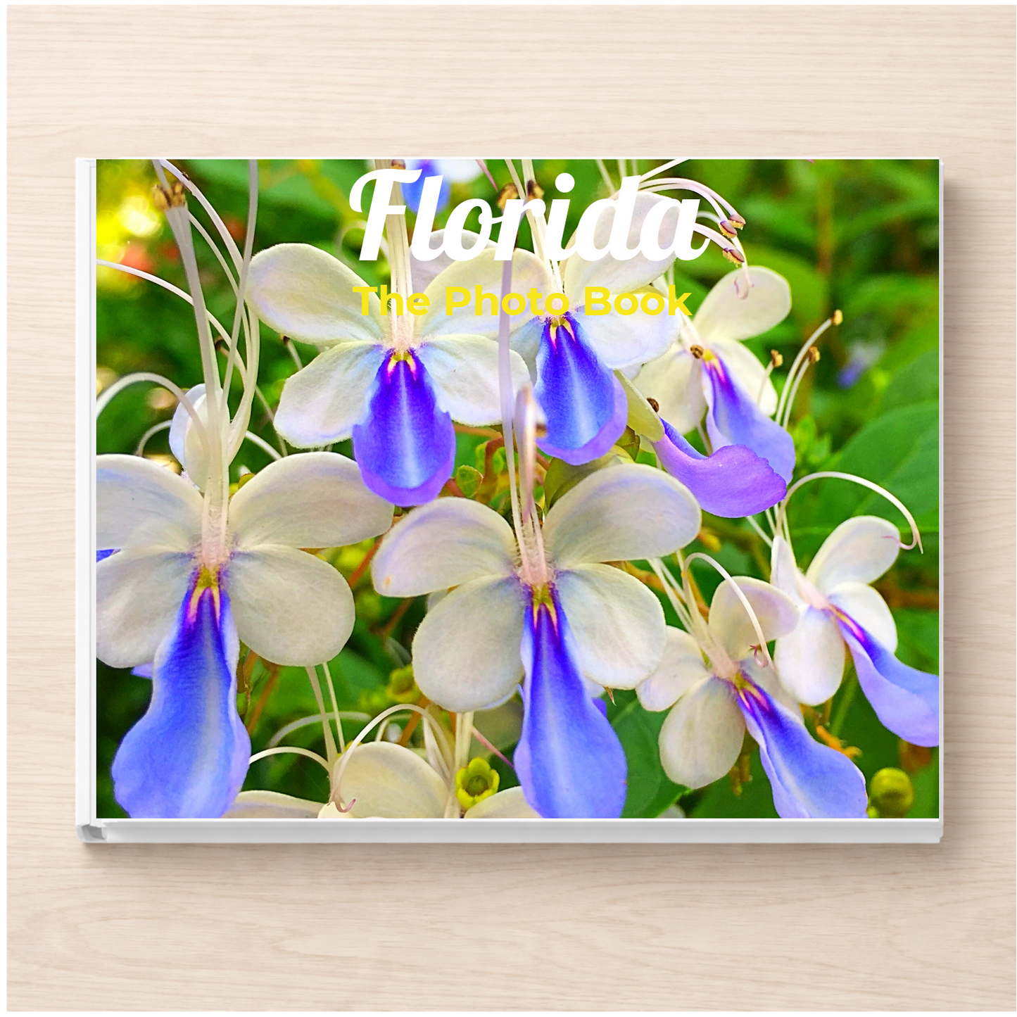Florida: The Photo Book