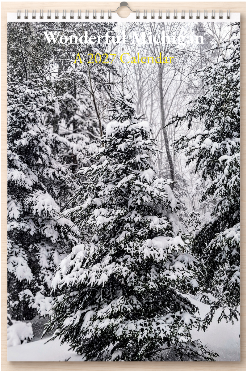 Wonderful Michigan: A 2027 Calendar