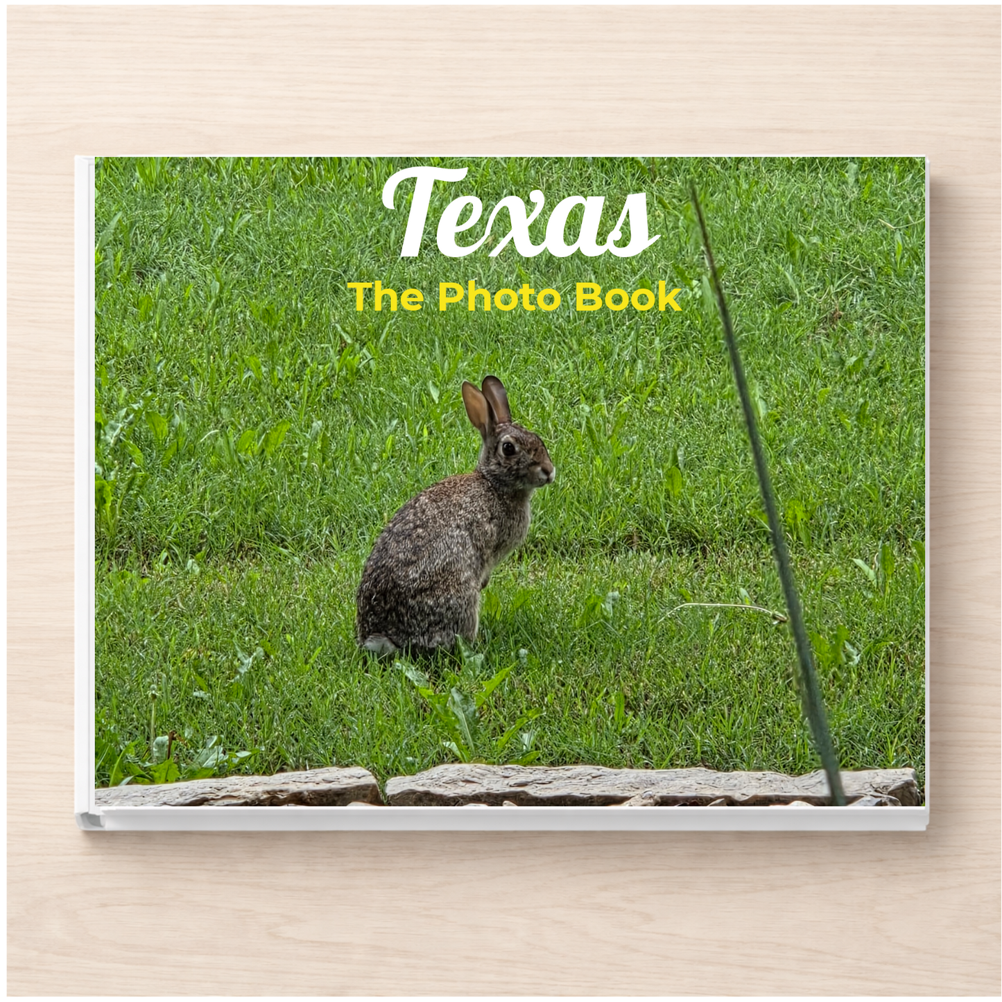 Texas: The Photo Book