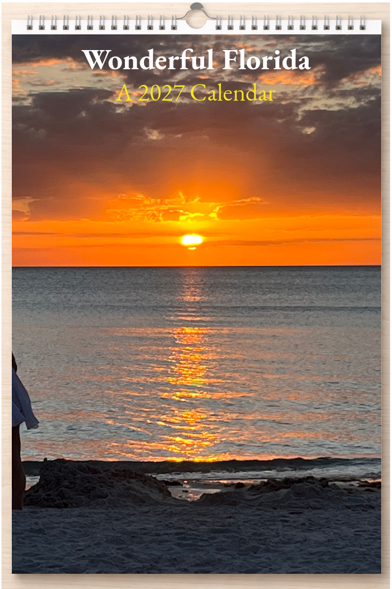 Wonderful Florida: A 2027 Calendar