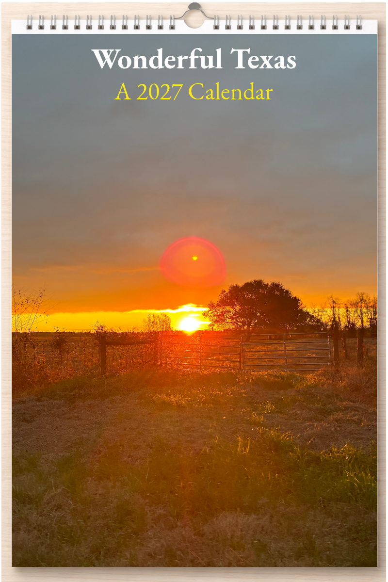 Wonderful Texas: A 2027 Calendar