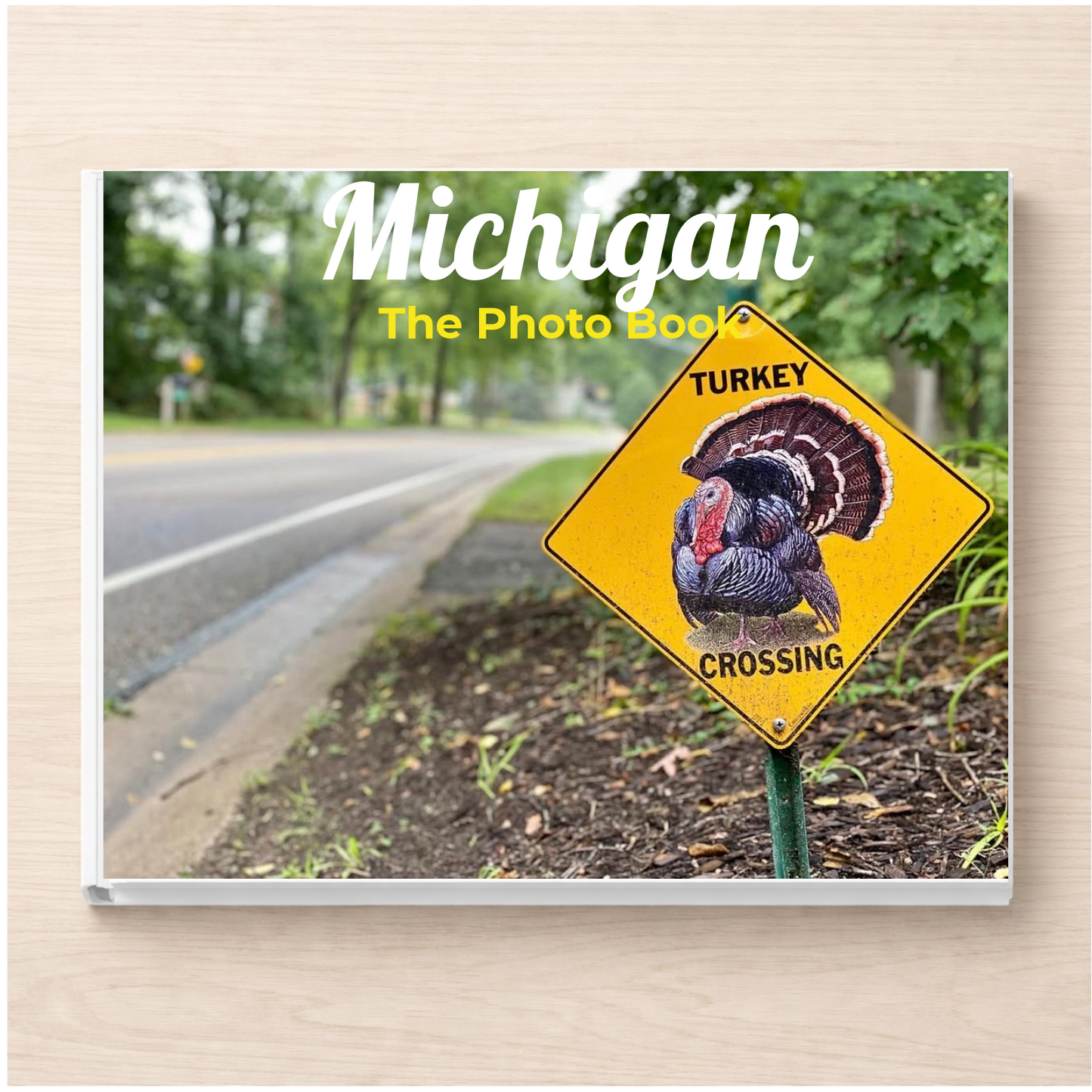 Michigan: The Photo Book