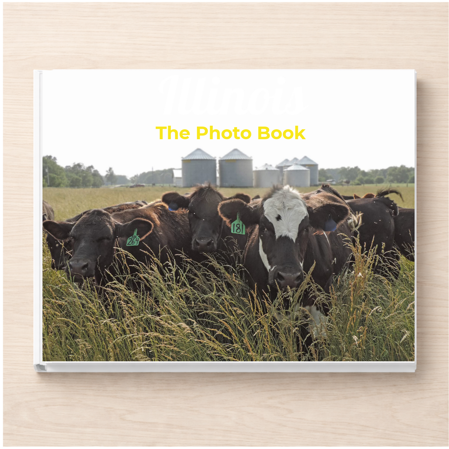 Illinois: The Photo Book