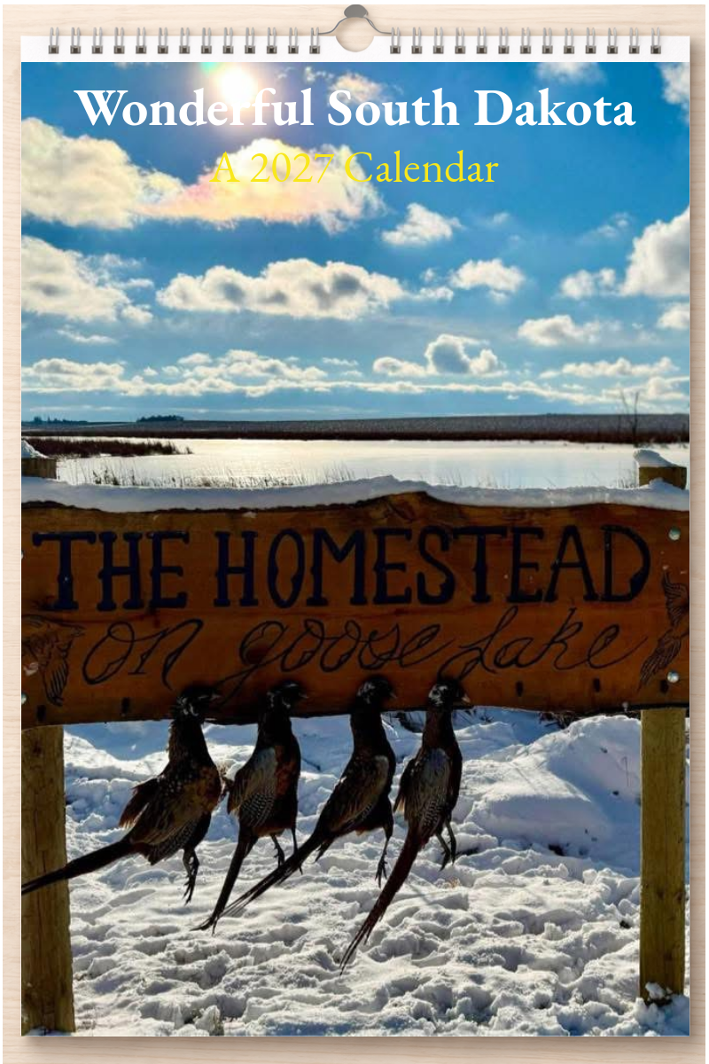 Wonderful South Dakota: A 2027 Calendar