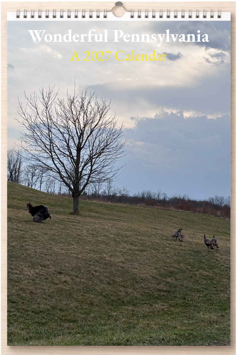 Wonderful Pennsylvania: A 2027 Calendar