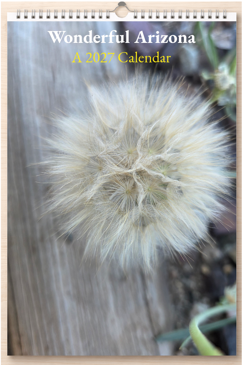 Wonderful Arizona: A 2027 Calendar