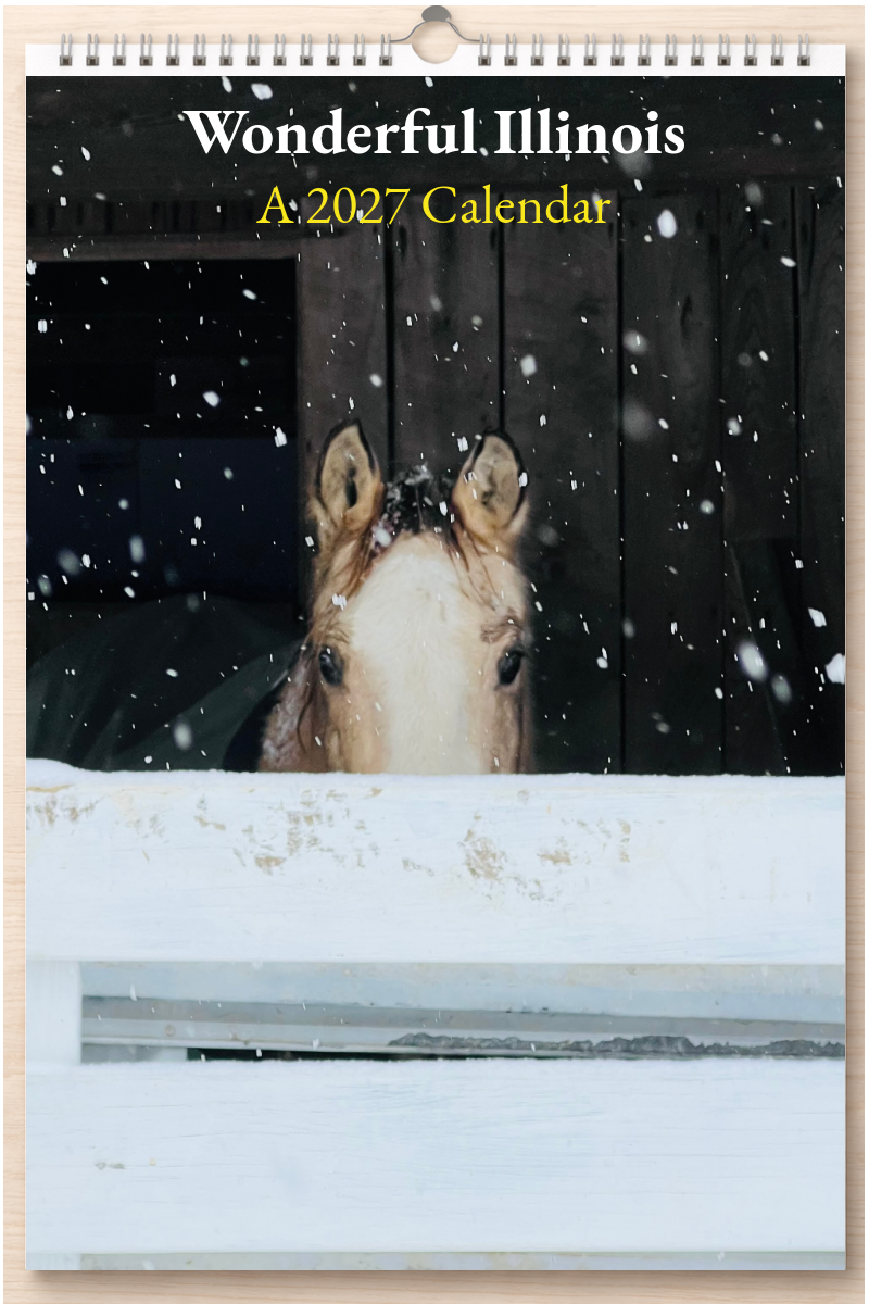Wonderful Illinois: A 2027 Calendar