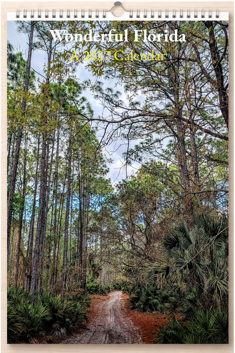 Wonderful Florida: A 2027 Calendar