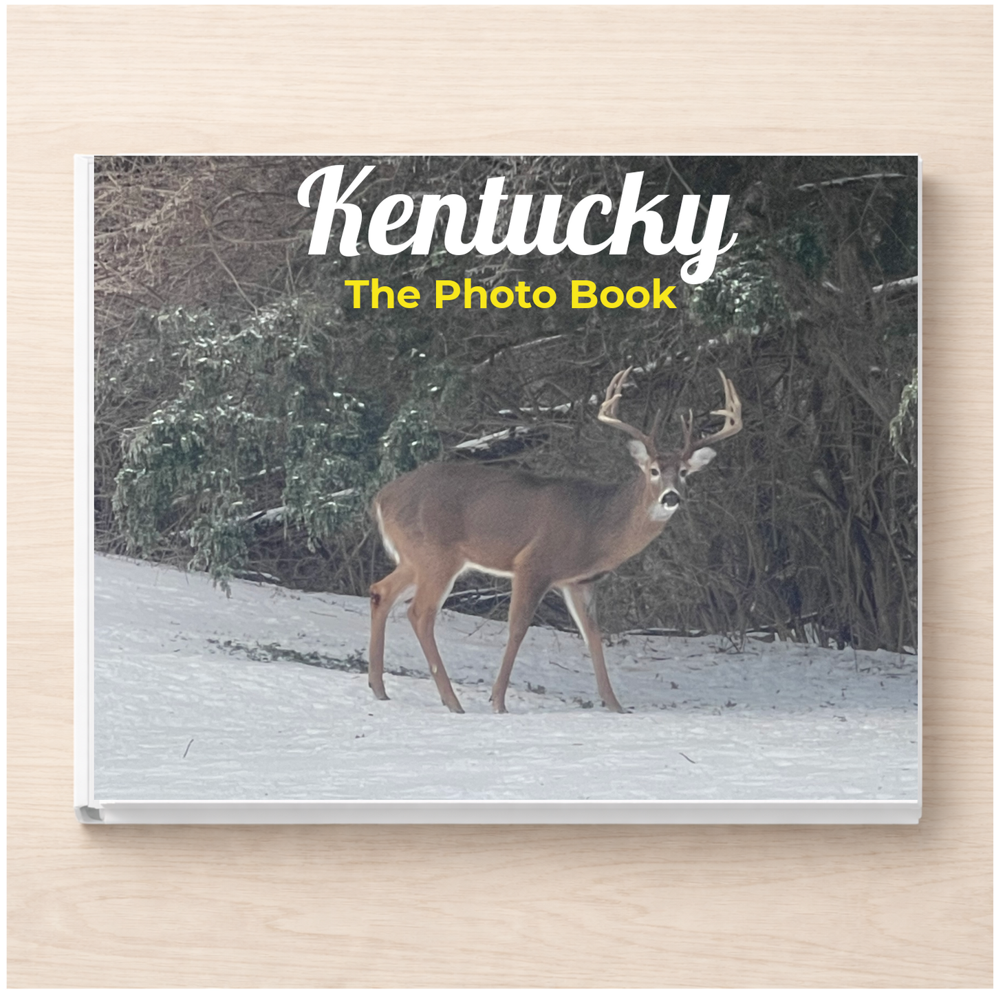 Kentucky: The Photo Book