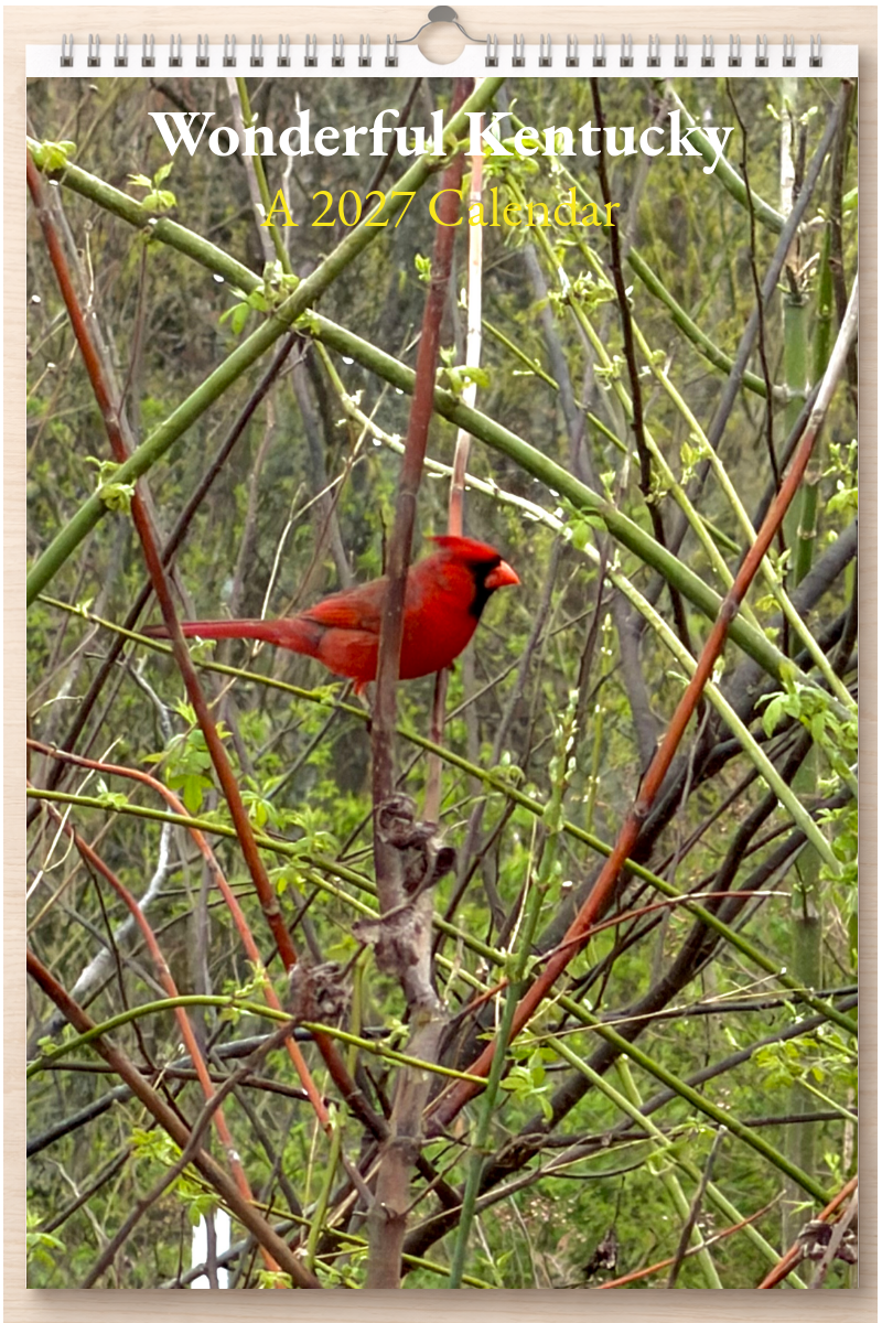 Wonderful Kentucky: A 2027 Calendar