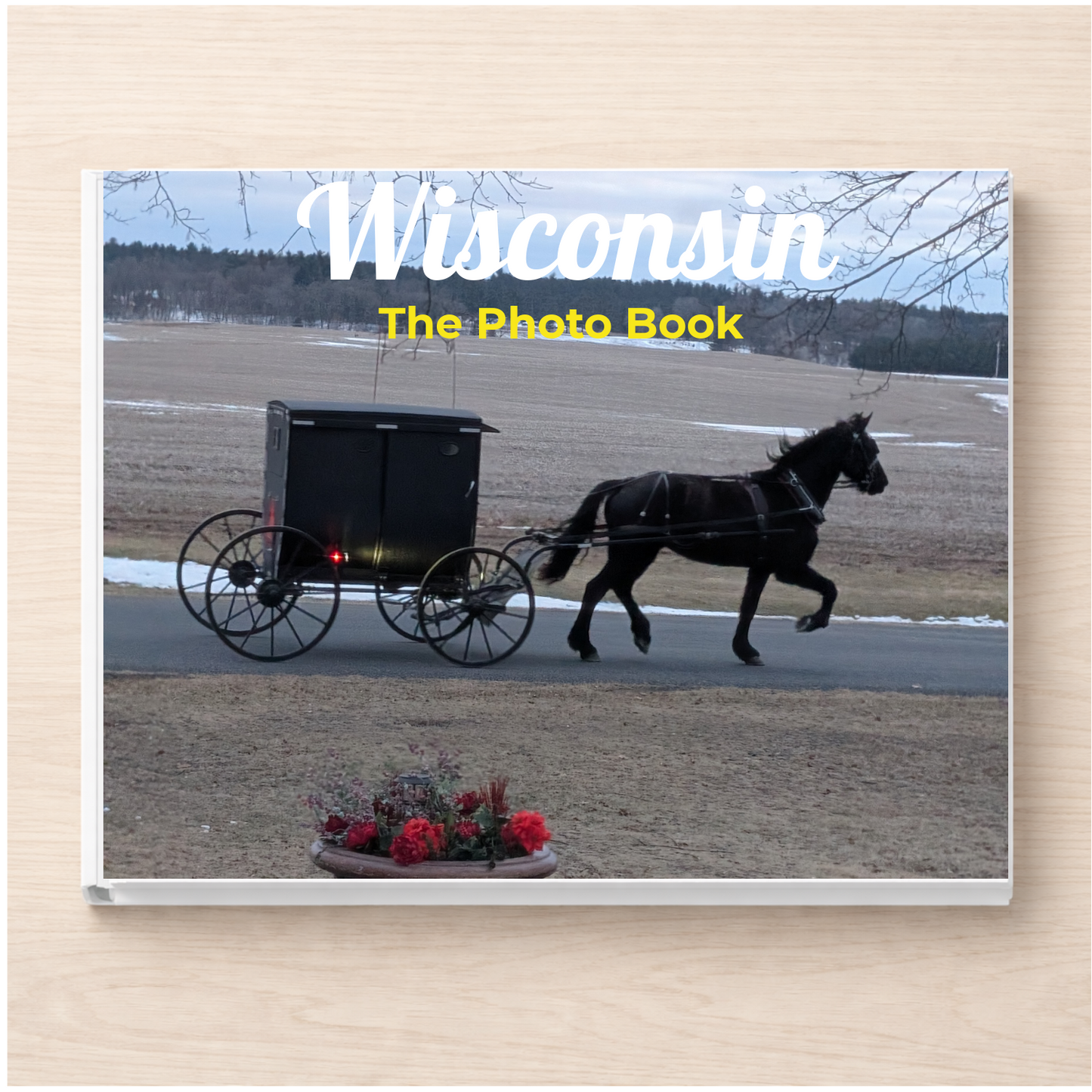 Wisconsin: The Photo Book