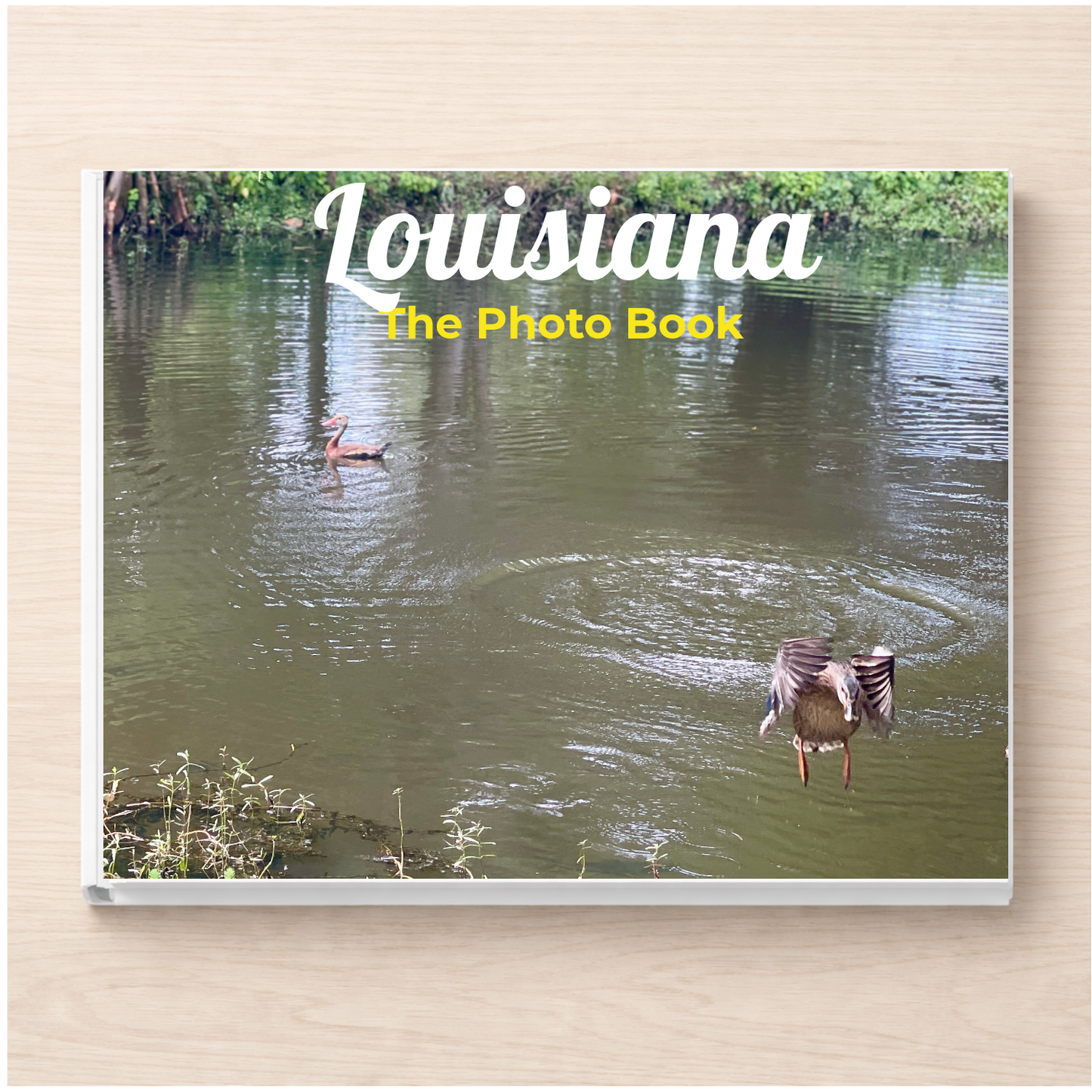 Louisiana: The Photo Book