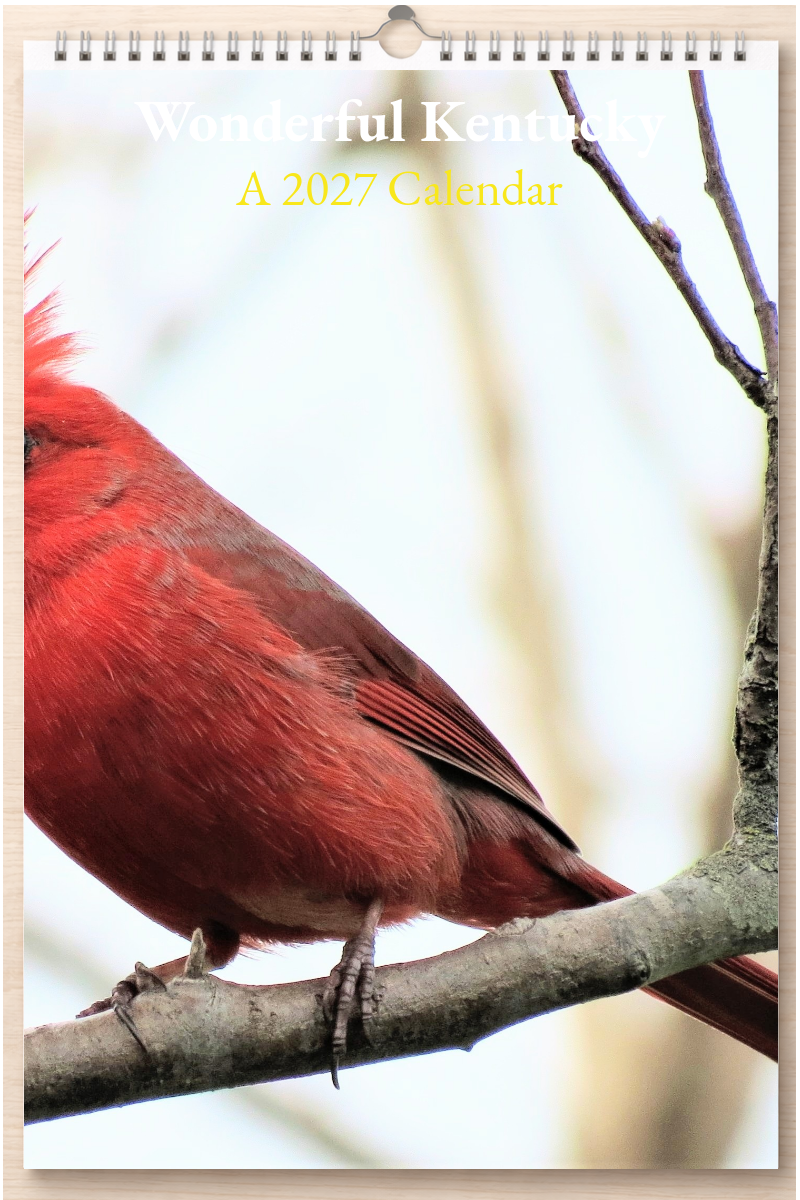 Wonderful Kentucky: A 2027 Calendar