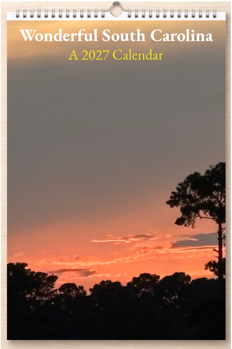 Wonderful South Carolina: A 2027 Calendar