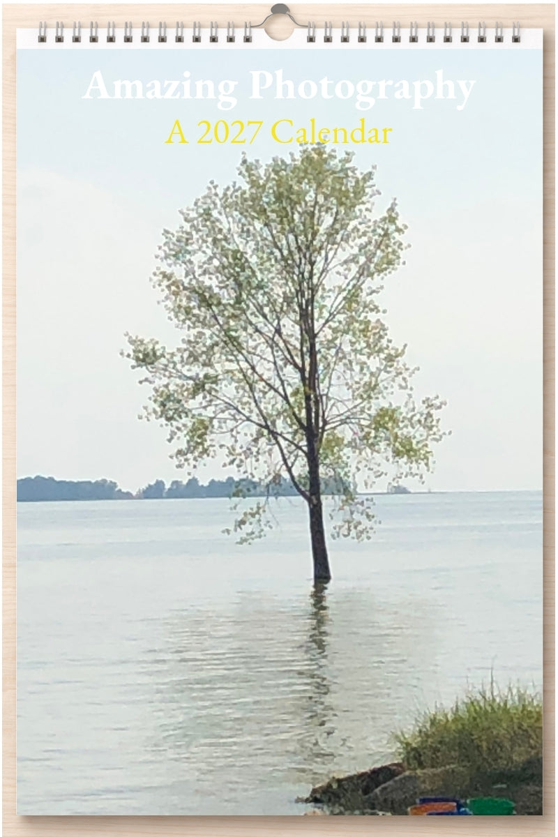 Amazing Photography: A 2027 Calendar