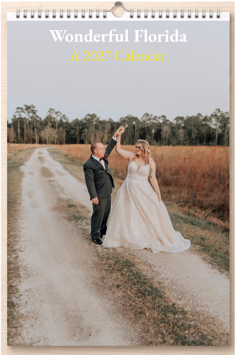 Wonderful Florida: A 2027 Calendar