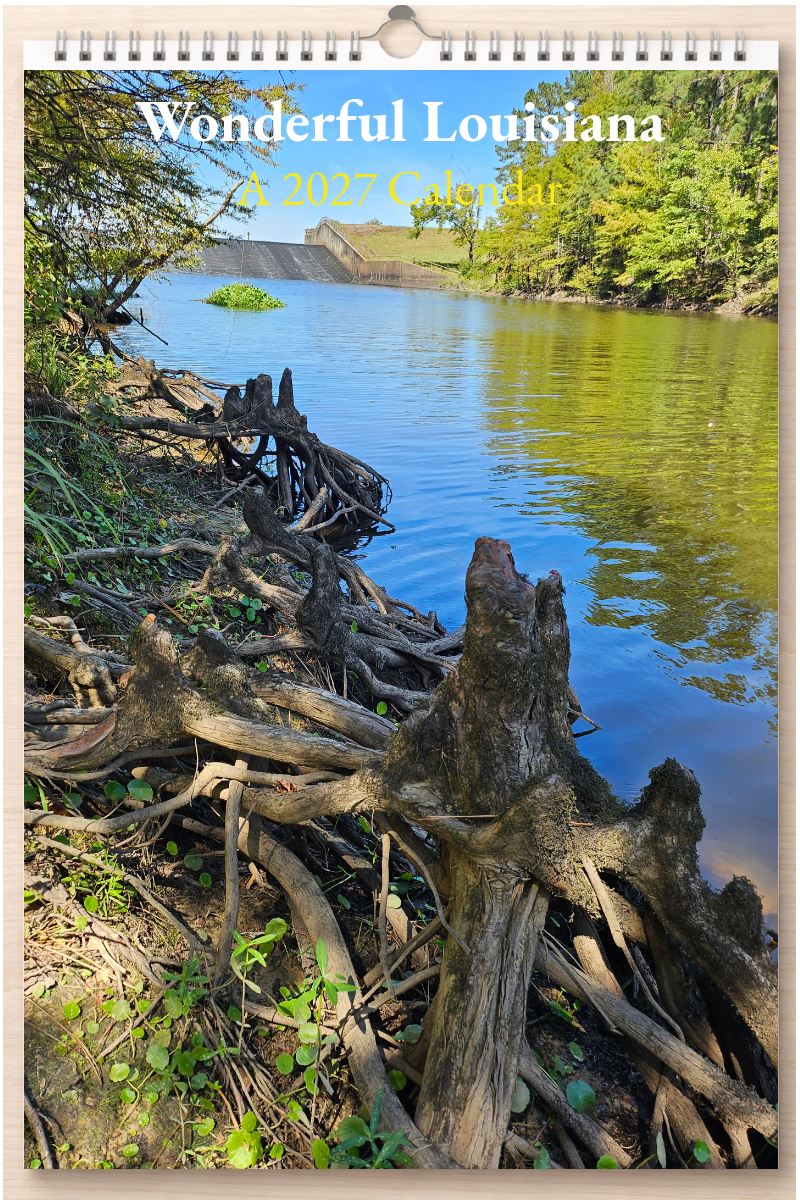 Wonderful Louisiana: A 2027 Calendar