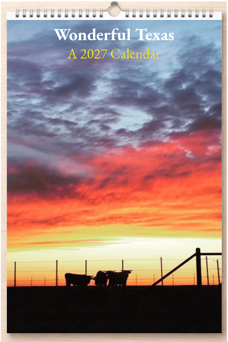 Wonderful Texas: A 2027 Calendar