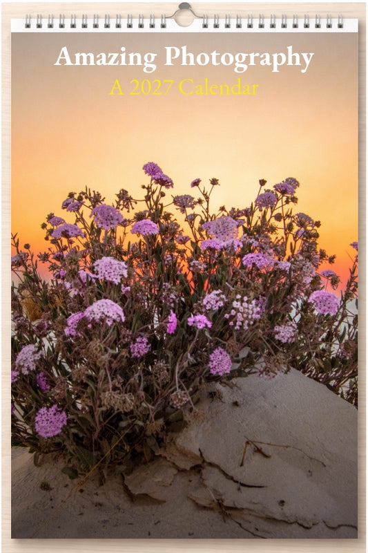 Amazing Photography: A 2027 Calendar