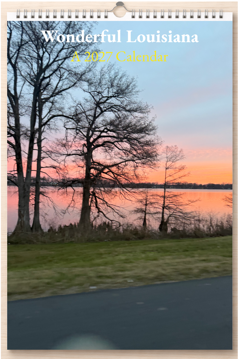 Wonderful Louisiana: A 2027 Calendar