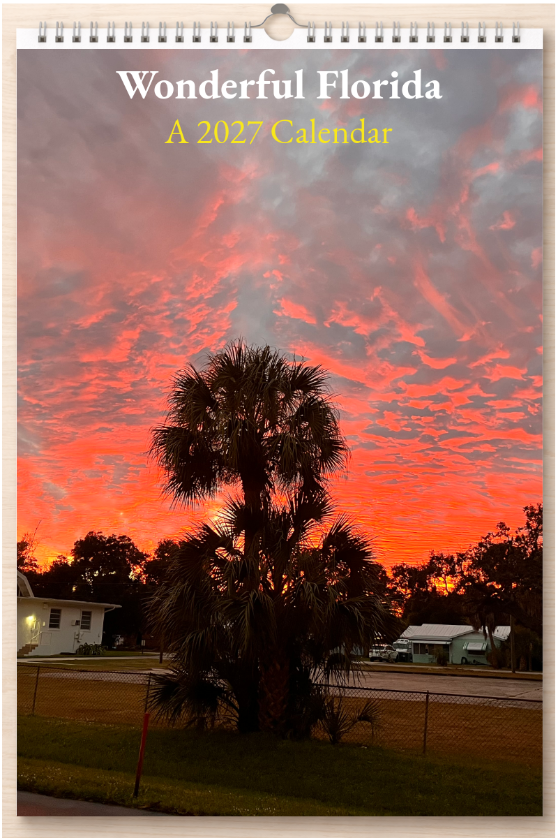 Wonderful Florida: A 2027 Calendar