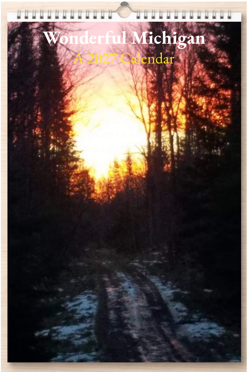 Wonderful Michigan: A 2027 Calendar