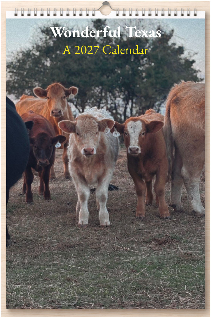 Wonderful Texas: A 2027 Calendar