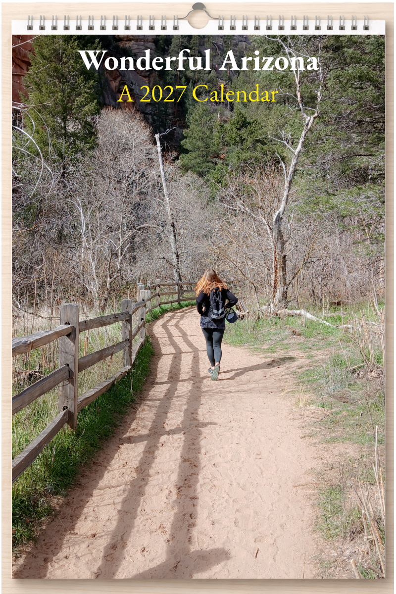 Wonderful Arizona: A 2027 Calendar