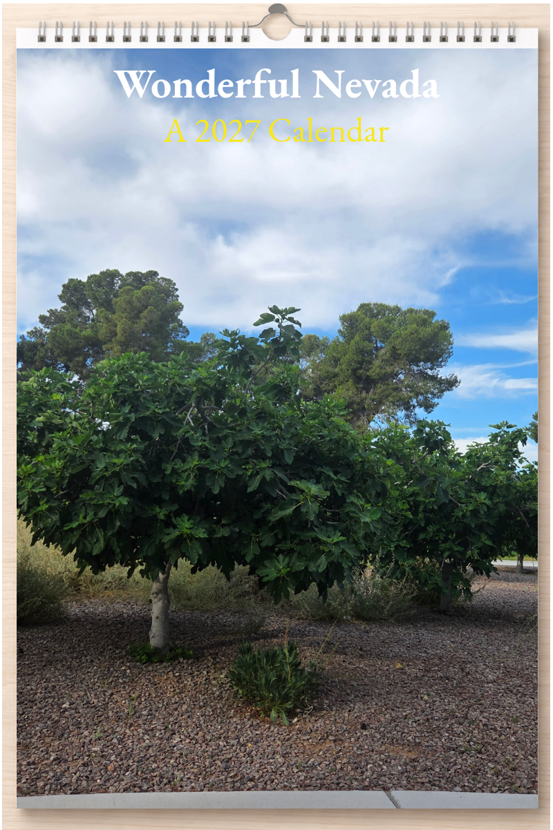 Wonderful Nevada: A 2027 Calendar