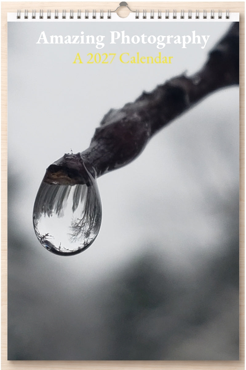 Amazing Photography: A 2027 Calendar
