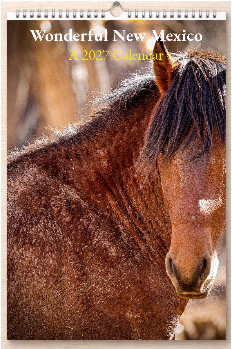 Wonderful New Mexico: A 2027 Calendar