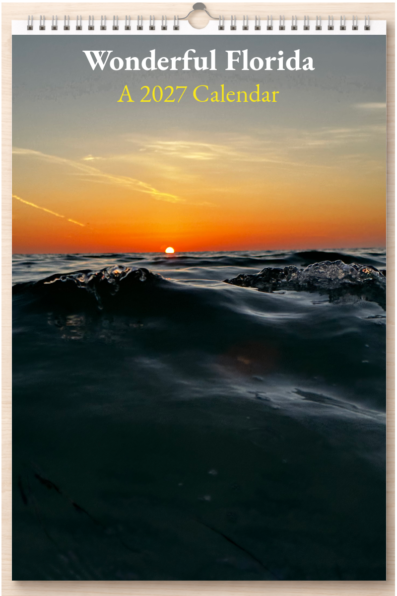 Wonderful Florida: A 2027 Calendar