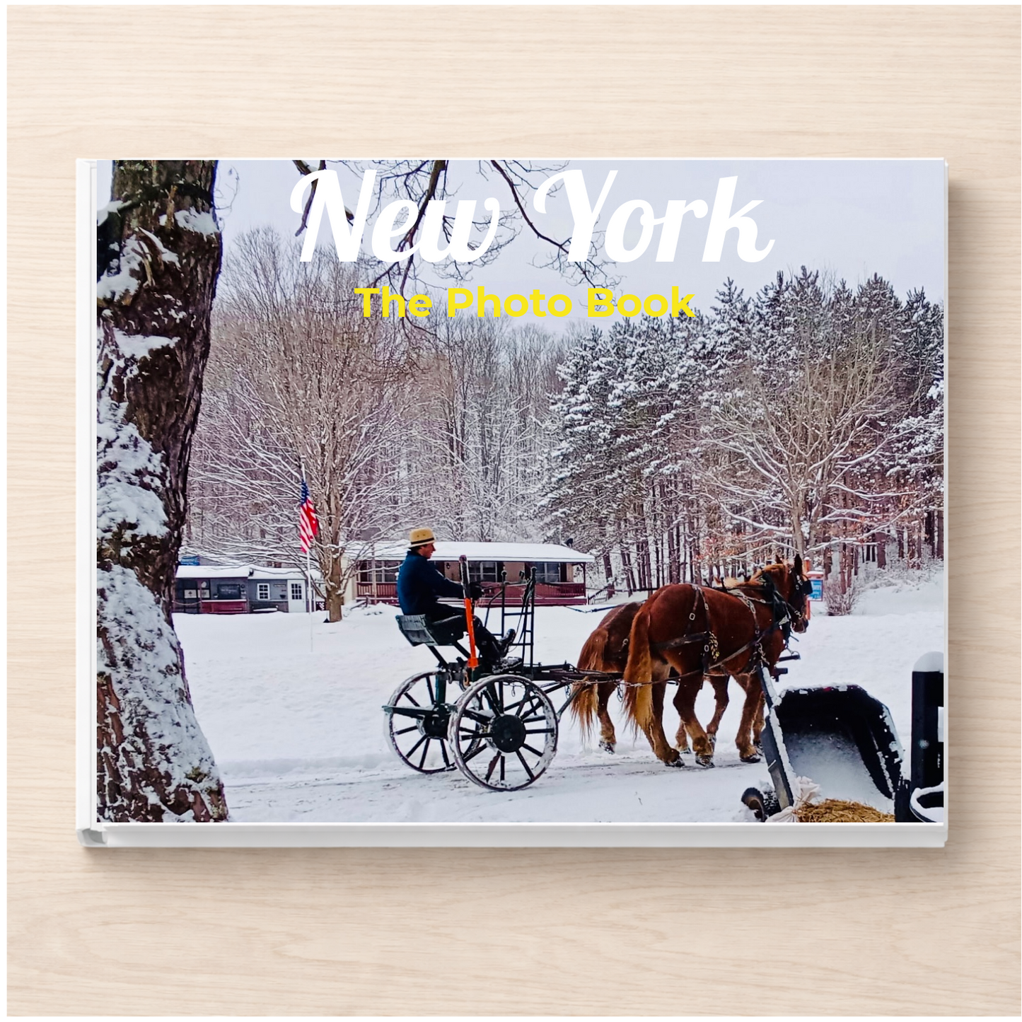 New York: The Photo Book
