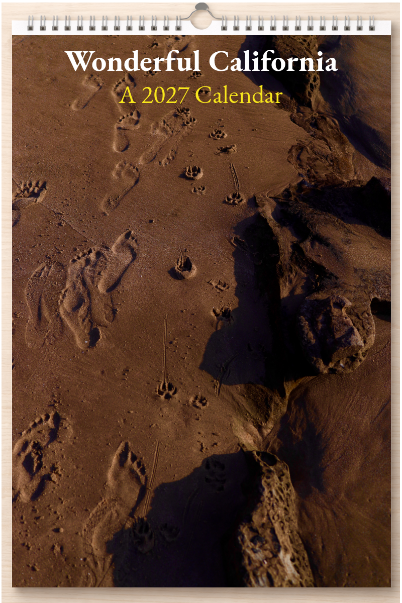 Wonderful California: A 2027 Calendar