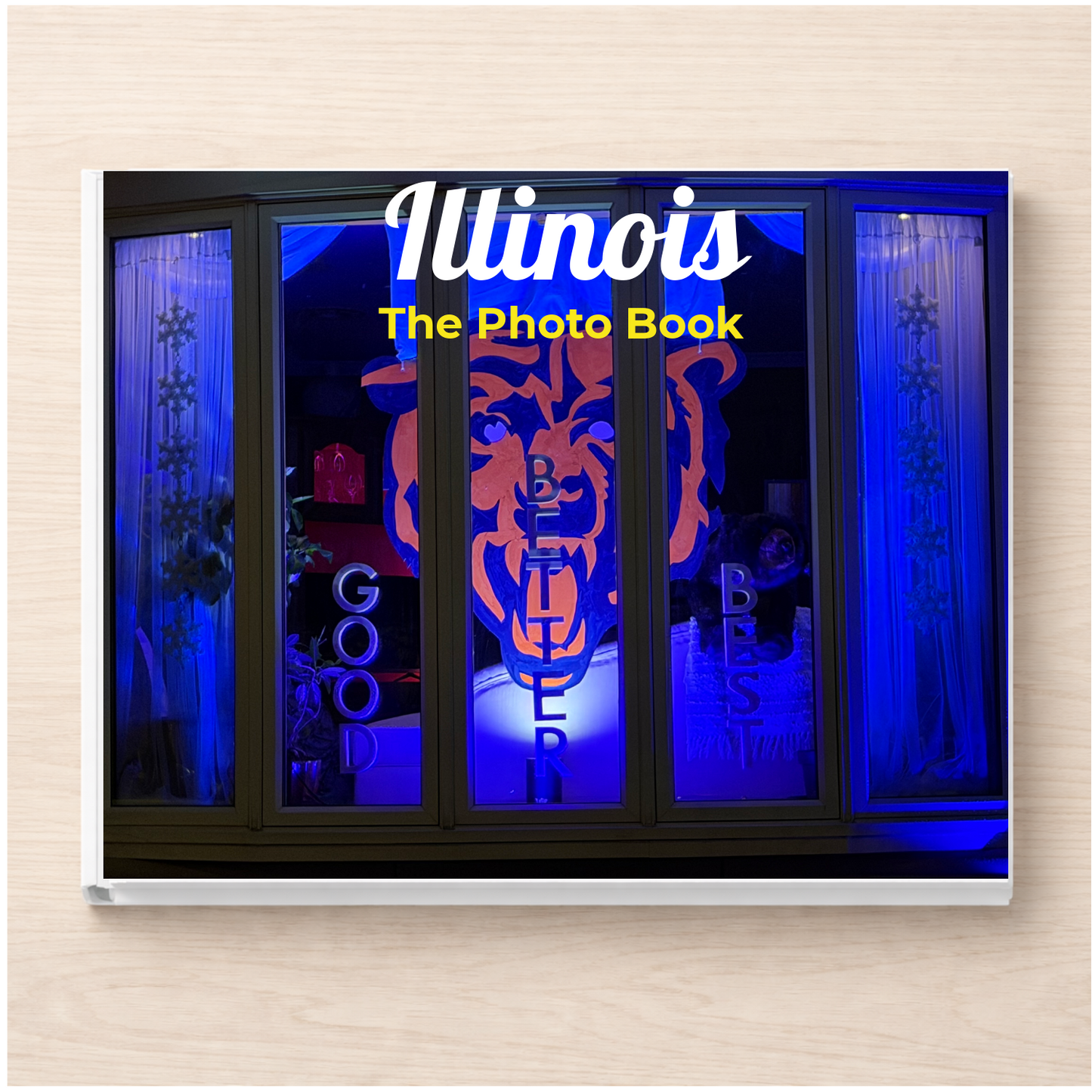 Illinois: The Photo Book