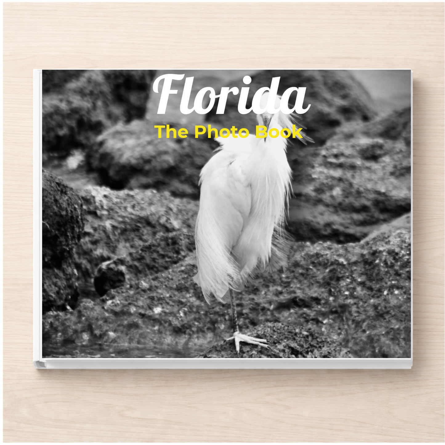 Florida: The Photo Book