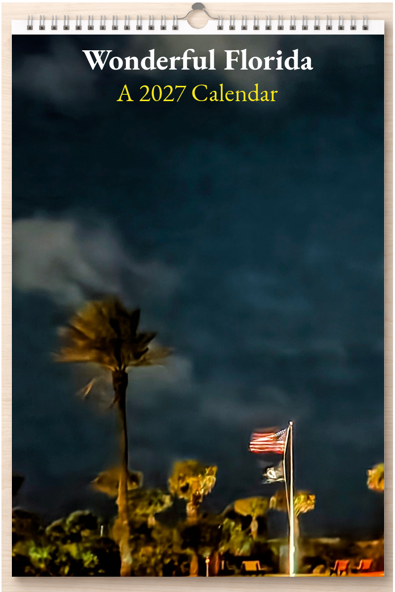 Wonderful Florida: A 2027 Calendar