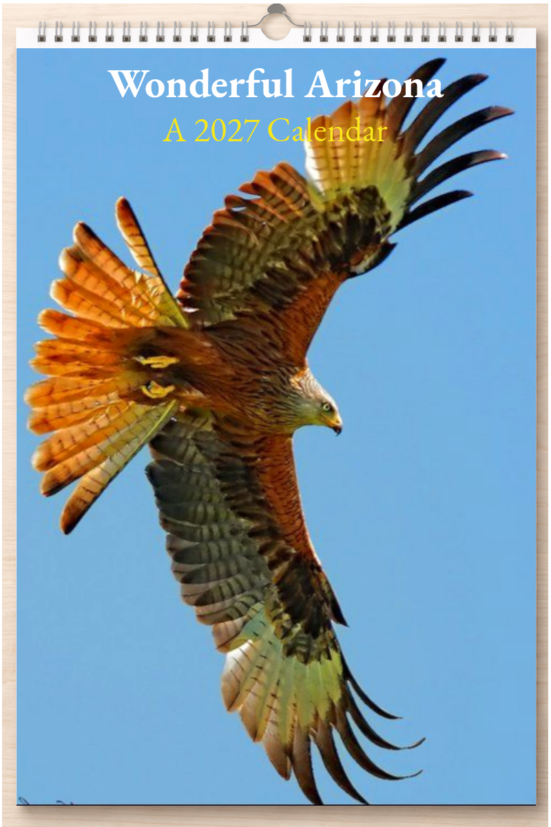 Wonderful Arizona: A 2027 Calendar