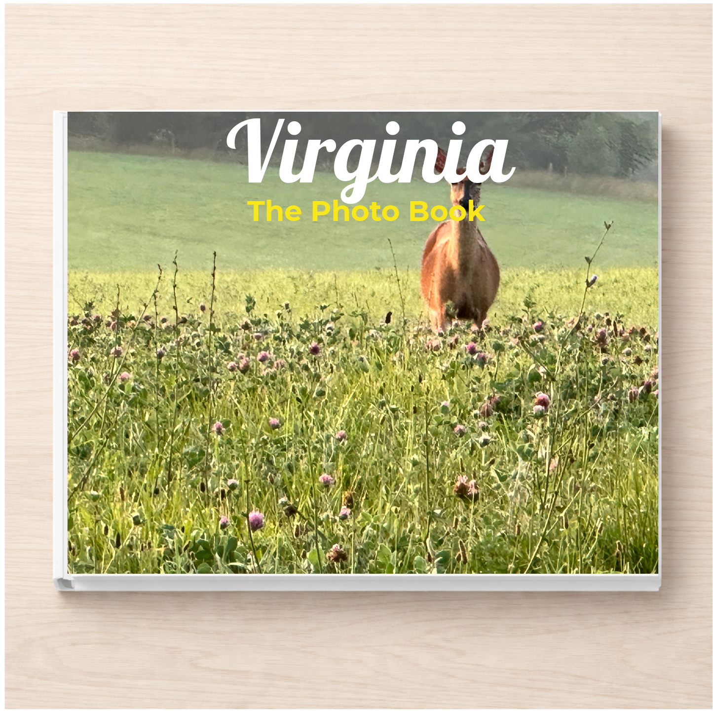 Virginia: The Photo Book
