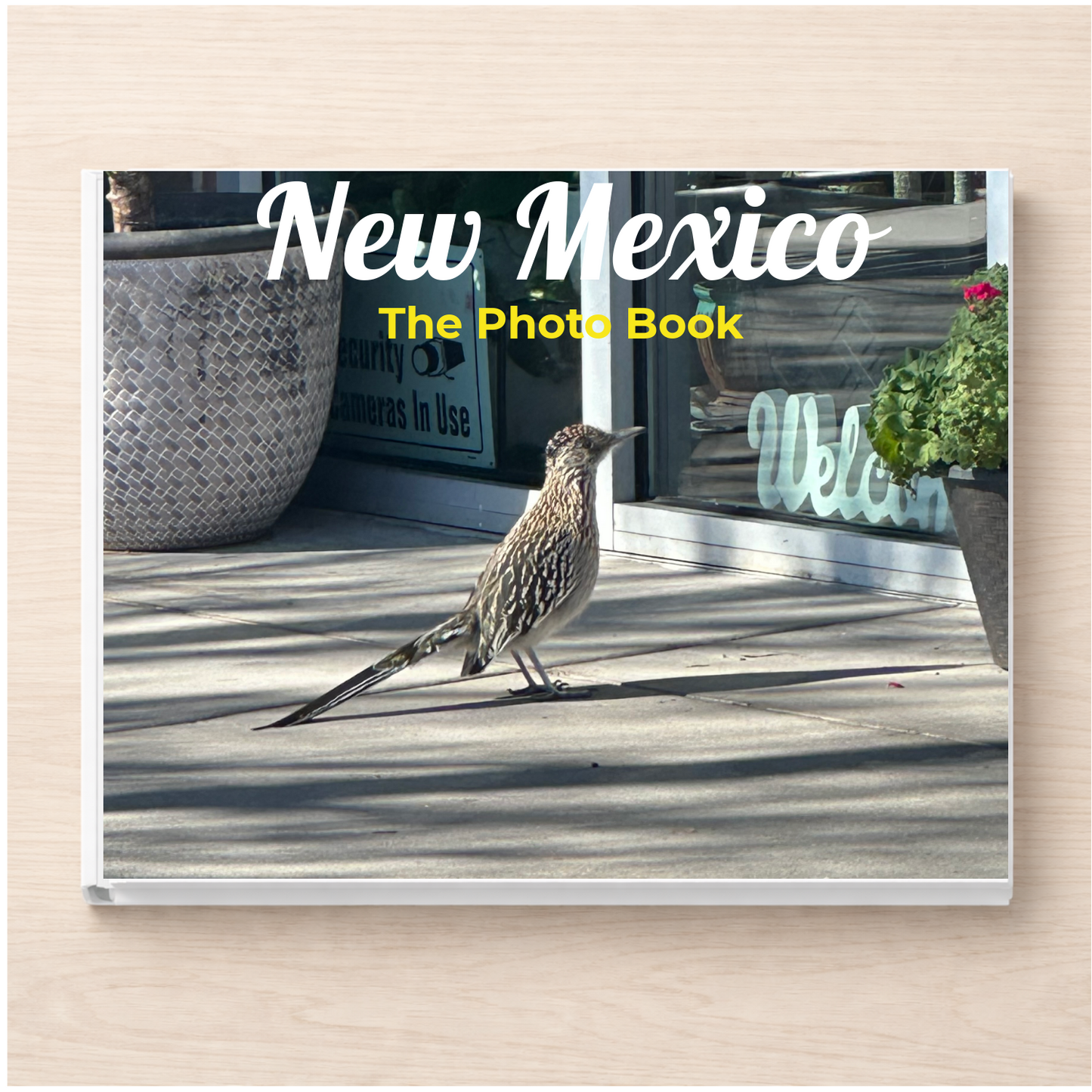 New Mexico: The Photo Book