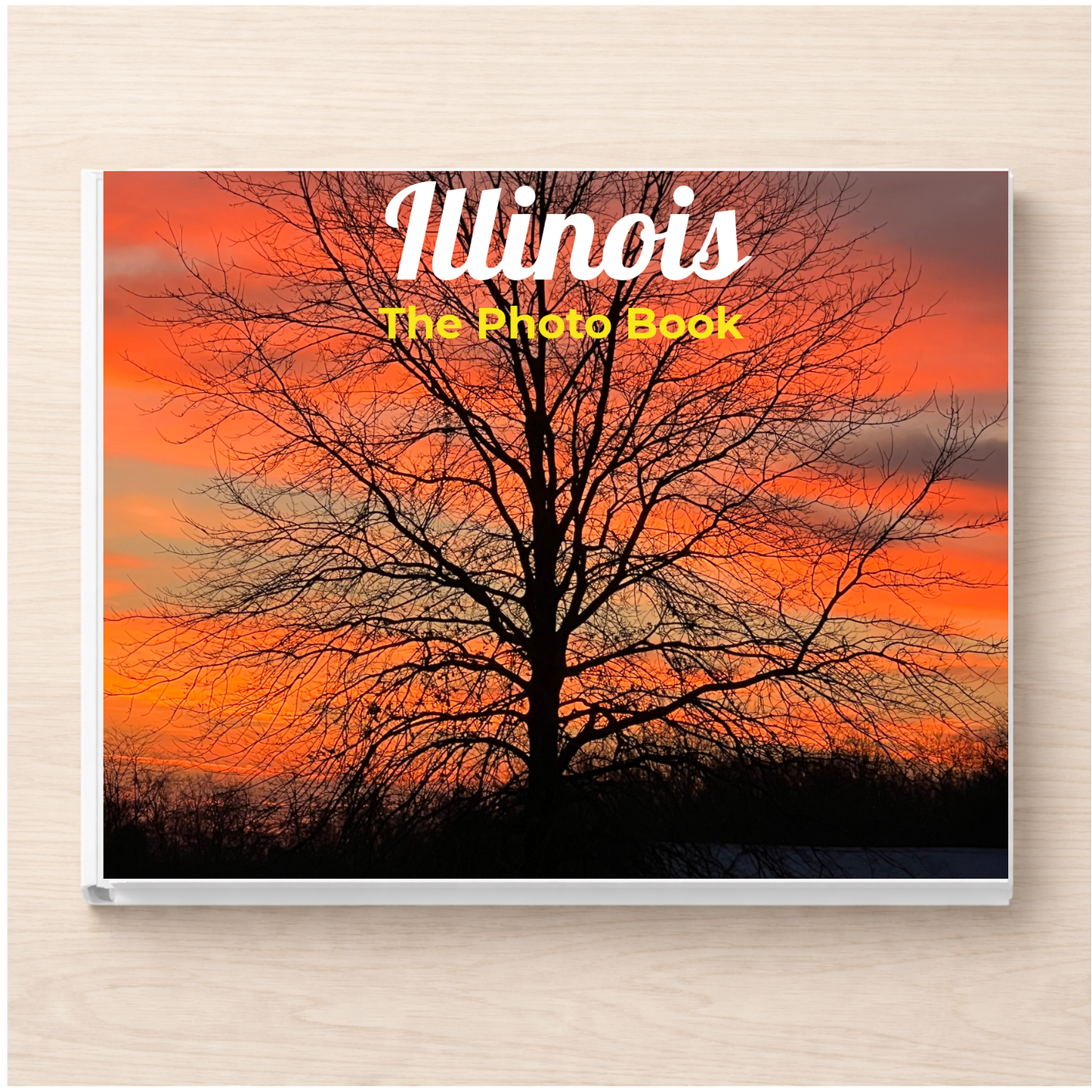 Illinois: The Photo Book