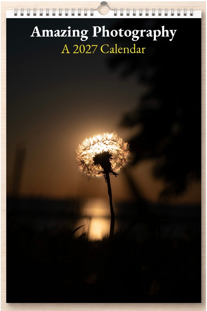 Amazing Photography: A 2027 Calendar