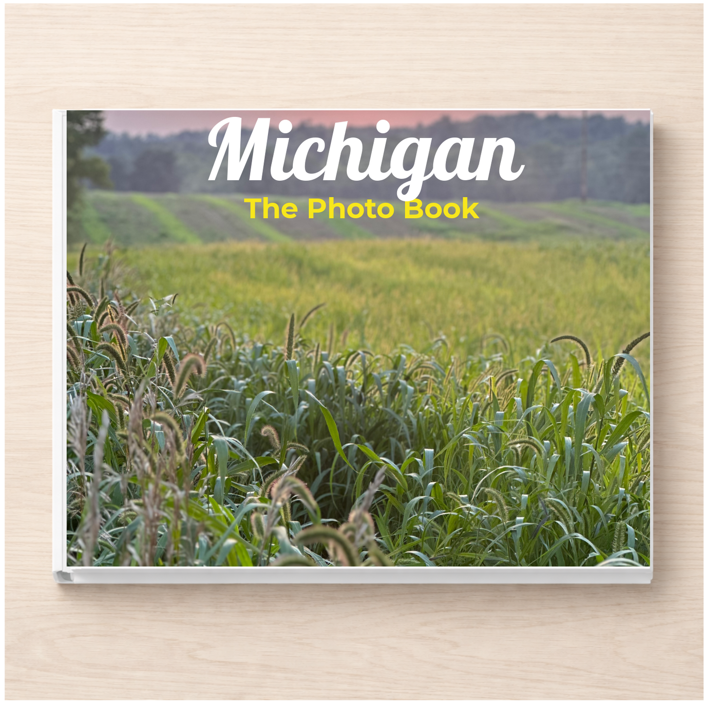 Michigan: The Photo Book