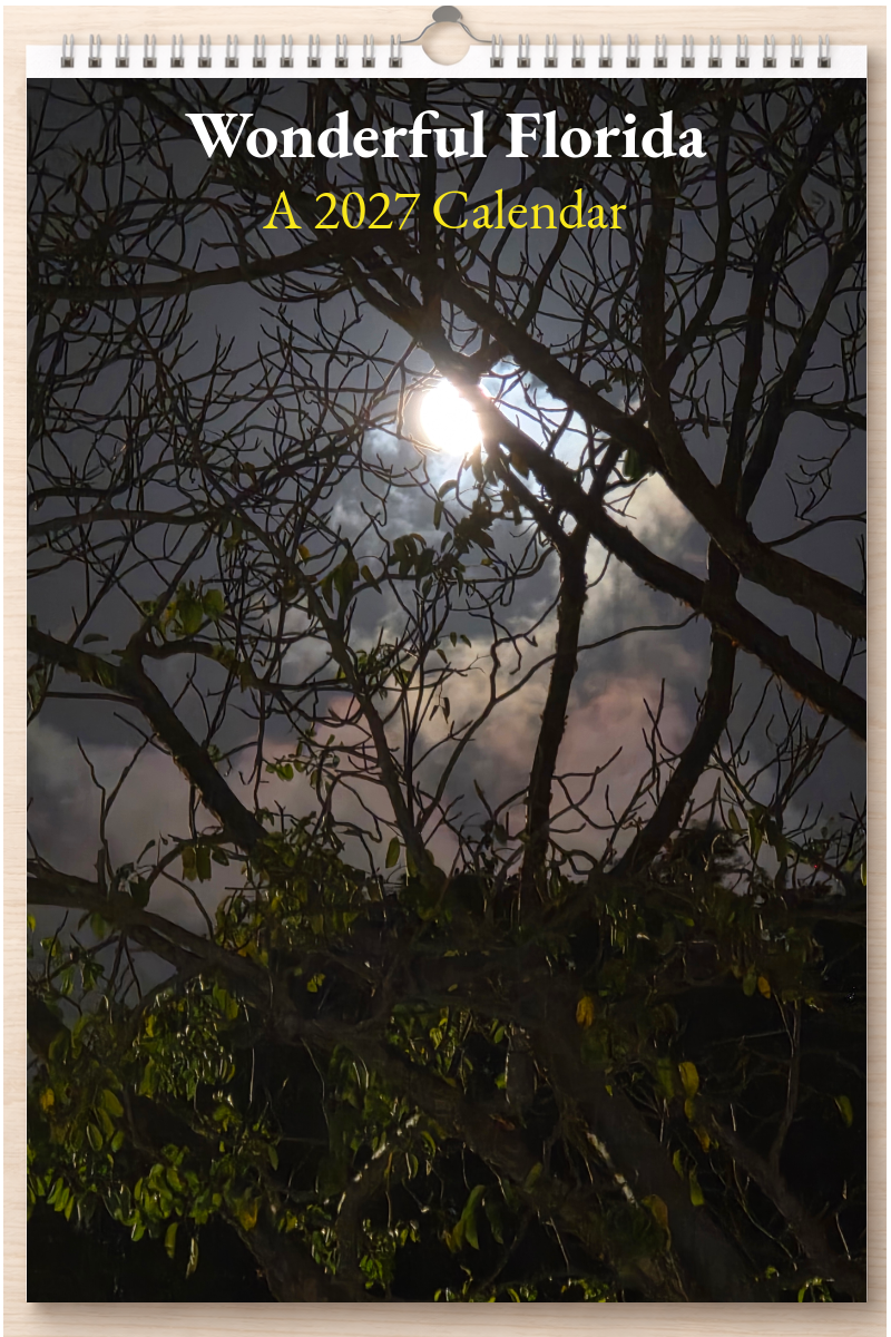 Wonderful Florida: A 2027 Calendar