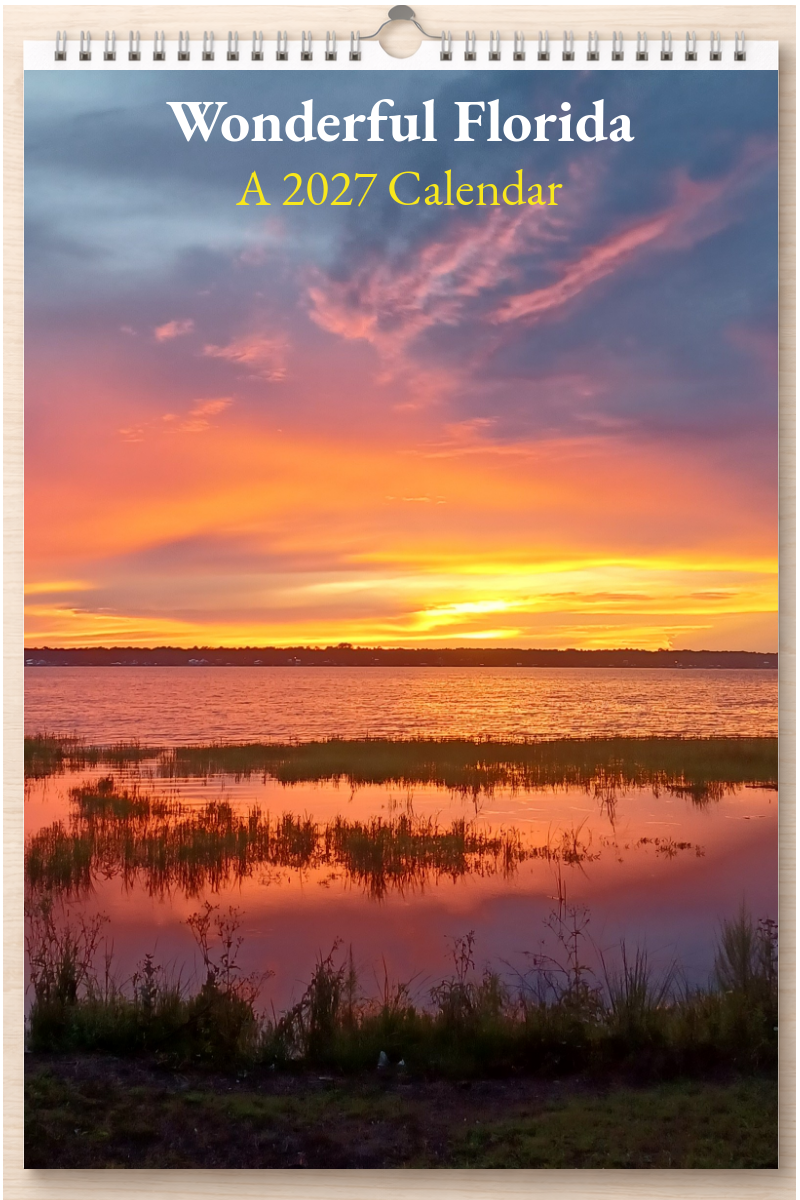 Wonderful Florida: A 2027 Calendar